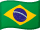 Flag of Português